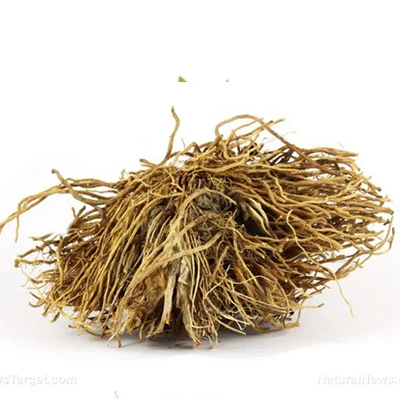 Valerian Essential Oil
